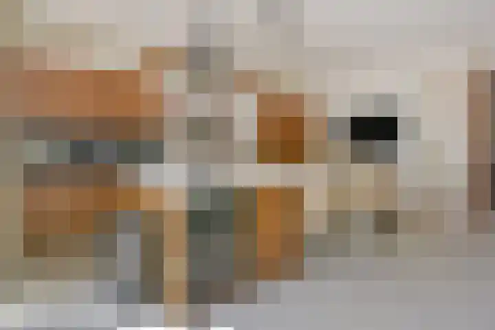 Markgraaflaan 92 Den Haag thumbnail 30