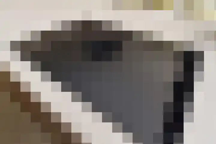 Markgraaflaan 92 Den Haag thumbnail 33