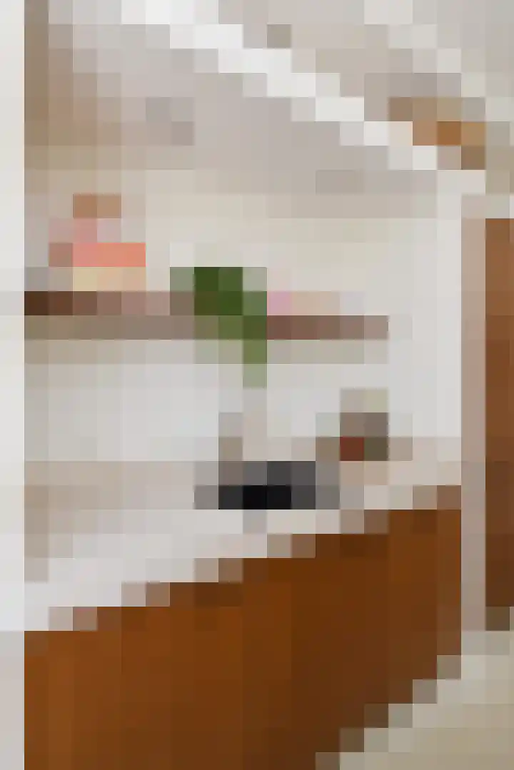 Markgraaflaan 92 Den Haag thumbnail 36