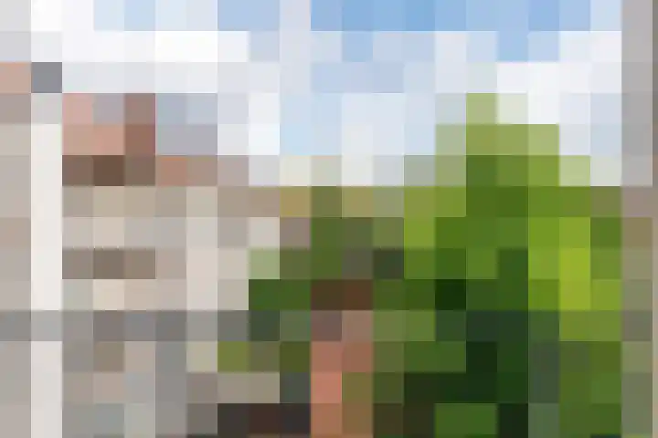 Markgraaflaan 92 Den Haag thumbnail 38