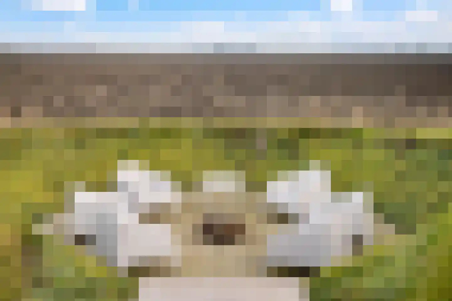 Markgraaflaan 92 Den Haag thumbnail 43