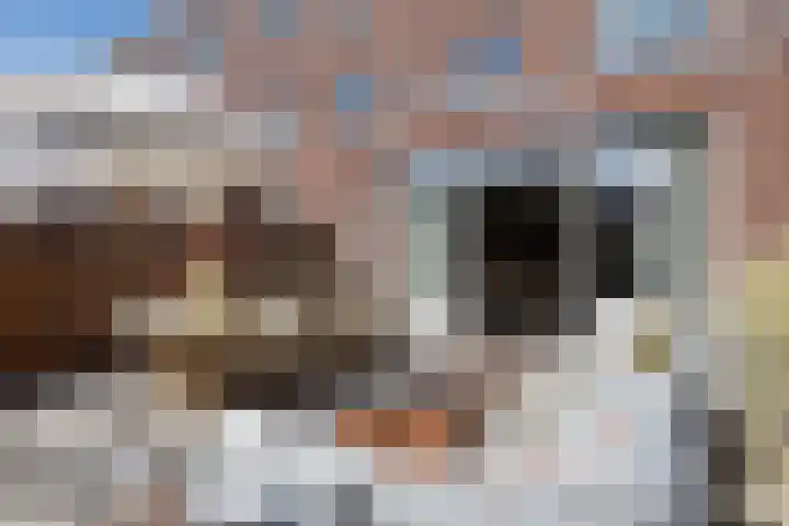 Markgraaflaan 92 Den Haag thumbnail 43