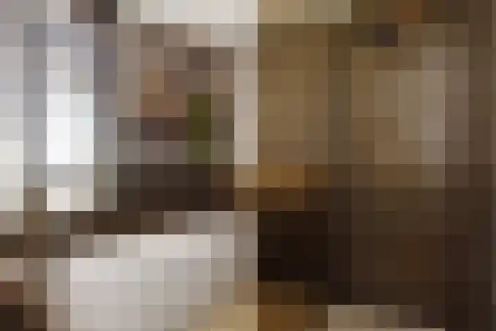 Markgraaflaan 92 Den Haag thumbnail 54