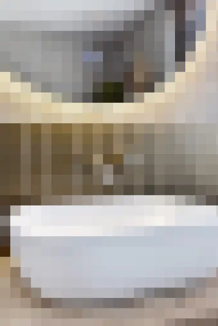 Markgraaflaan 92 Den Haag thumbnail 56