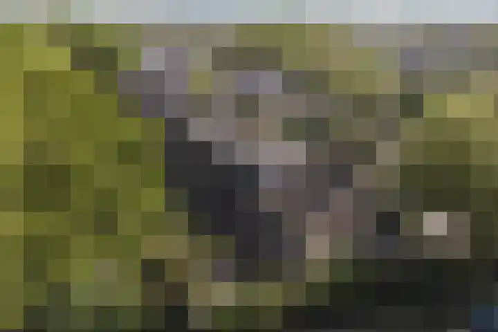 Markgraaflaan 92 Den Haag thumbnail 6