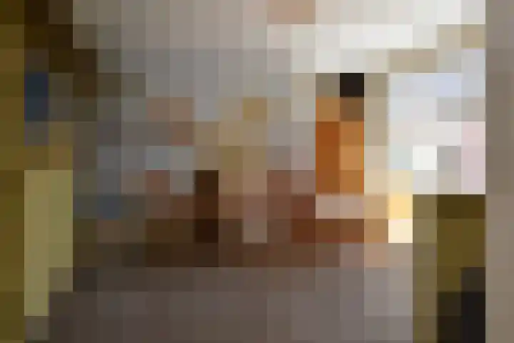 Markgraaflaan 92 Den Haag thumbnail 67