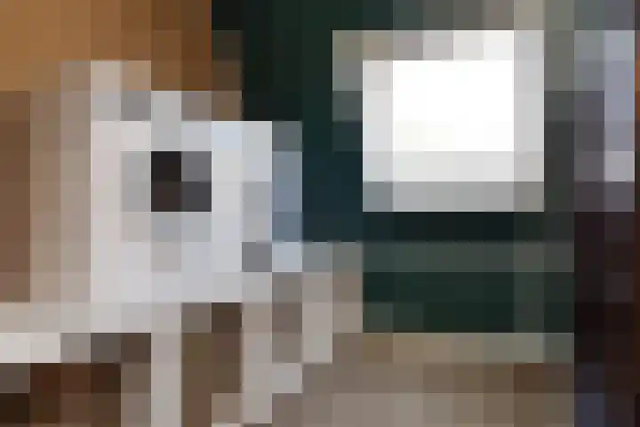 Markgraaflaan 92 Den Haag thumbnail 78