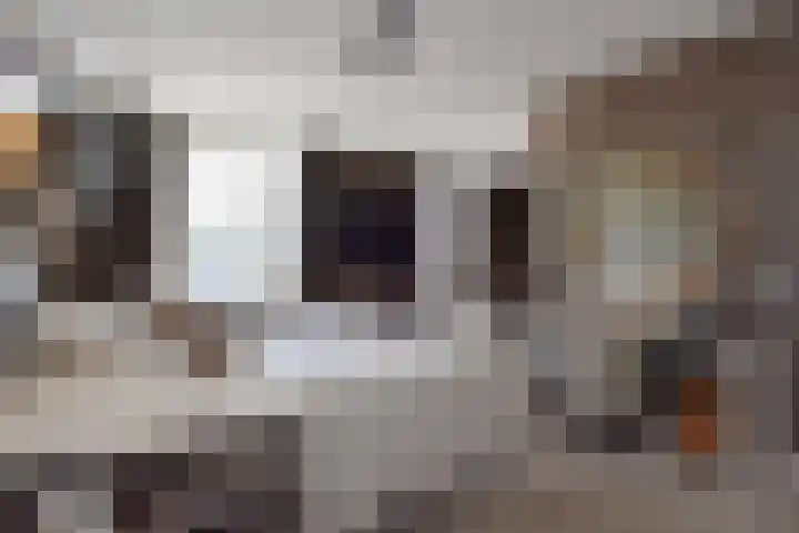Markgraaflaan 92 Den Haag thumbnail 85