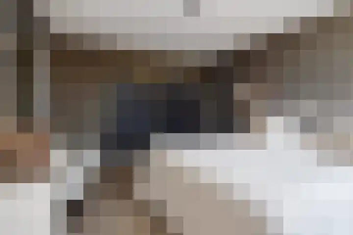 Markgraaflaan 92 Den Haag thumbnail 86
