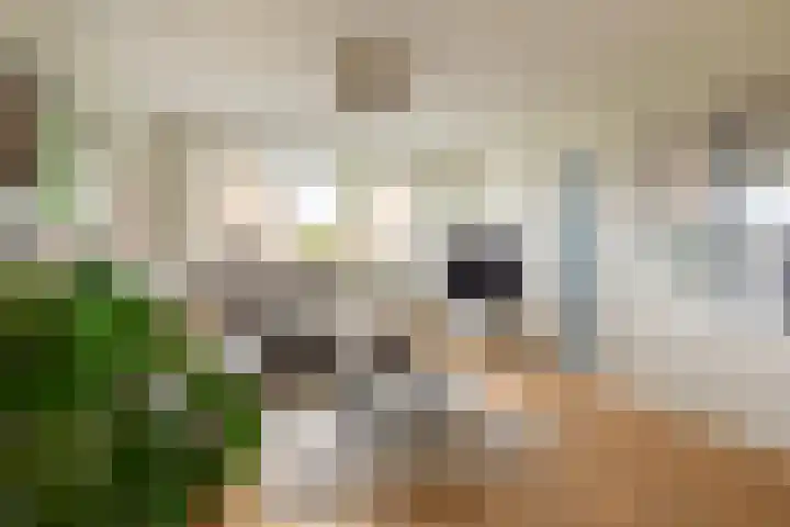 Markgraaflaan 92 Den Haag thumbnail 89
