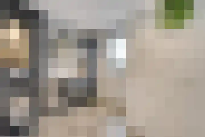 Markgravenweg 37 Almelo thumbnail 20