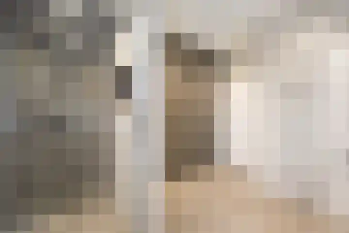 Markgravenweg 37 Almelo thumbnail 21