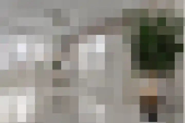Markgravenweg 37 Almelo thumbnail 7