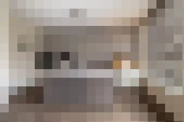 Markhoek 83 Breda thumbnail 17