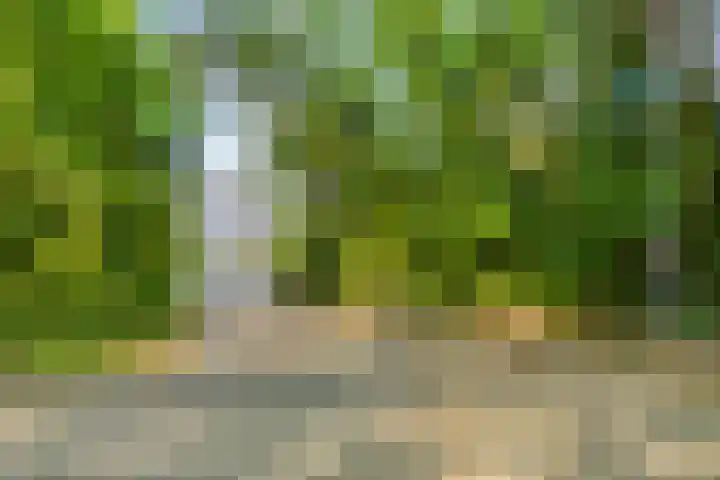 Markiezenhof 79 Roden thumbnail 45