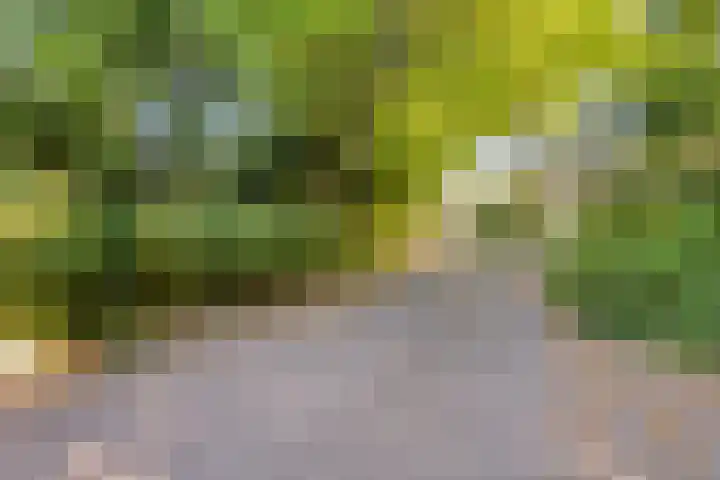 Markiezenhof 79 Roden thumbnail 46