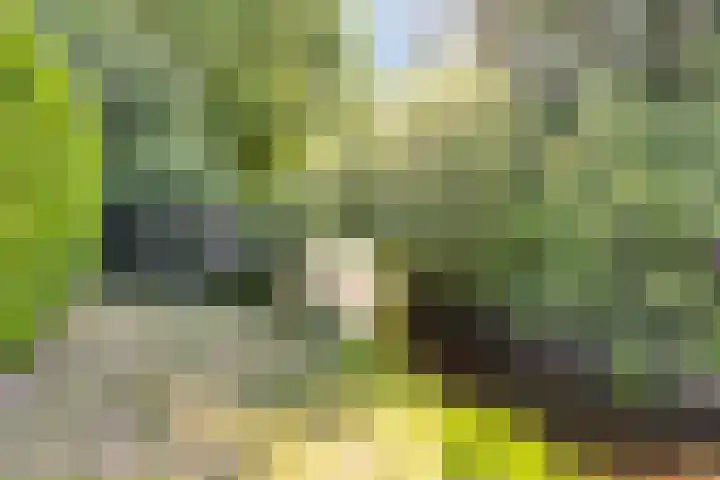 Markiezenhof 79 Roden thumbnail 47