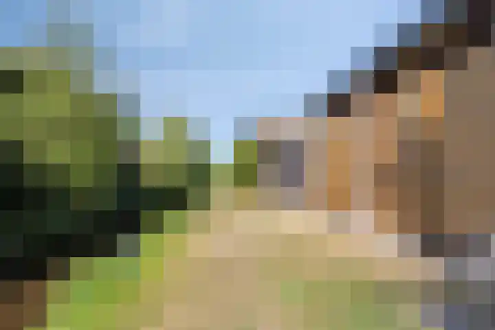 Markiezenhof 79 Roden thumbnail 48