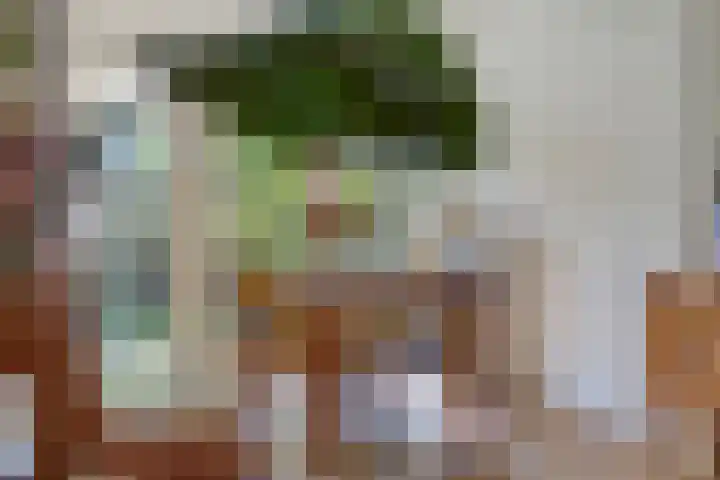 Markkant 1 Terheijden thumbnail 12