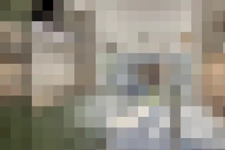 Markkant 1 Terheijden thumbnail 16