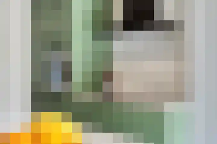 Markkant 1 Terheijden thumbnail 17