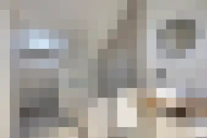 Markkant 1 Terheijden thumbnail 31