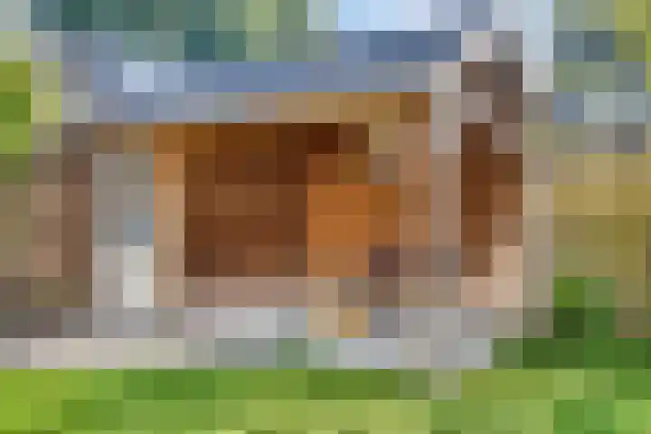Markkant 1 Terheijden thumbnail 36