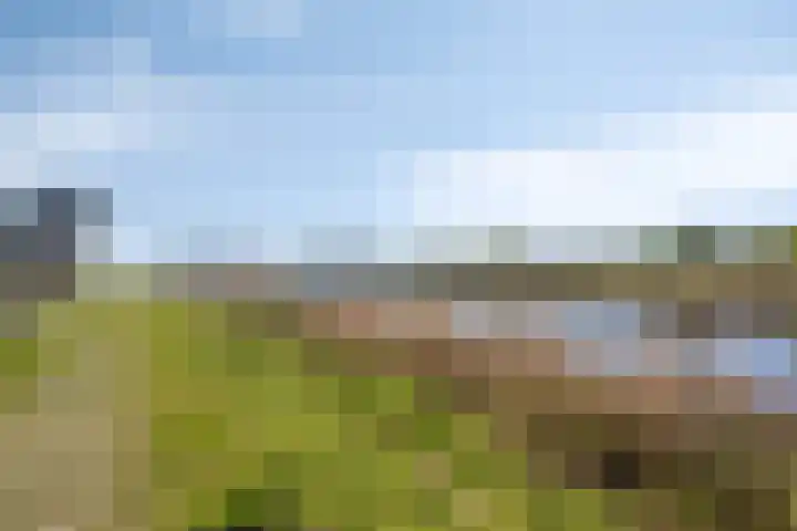 Markkant 1 Terheijden thumbnail 39