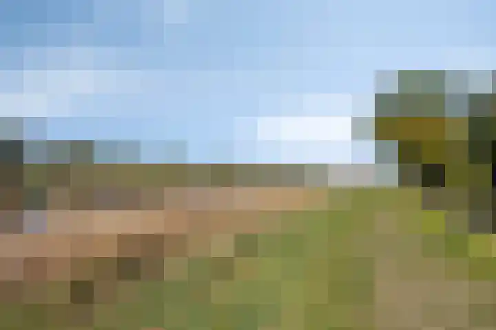 Markkant 1 Terheijden thumbnail 40