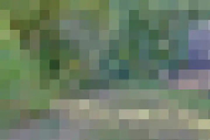 Markkant 77 Oosterhout thumbnail 34
