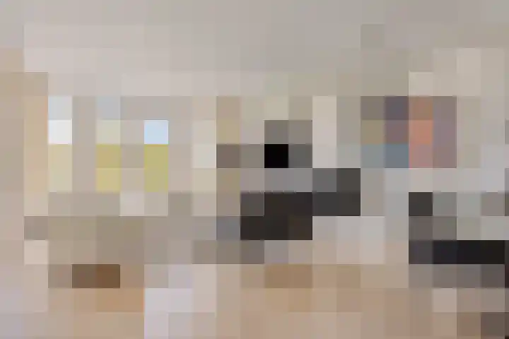 Marksingel 56 Breda thumbnail 11
