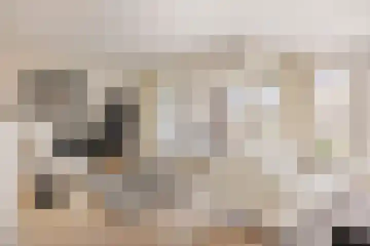 Marksingel 56 Breda thumbnail 12