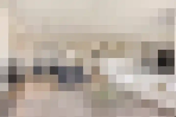 Marksingel 56 Breda thumbnail 13