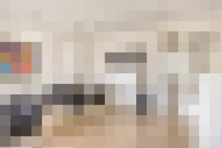 Marksingel 56 Breda thumbnail 14