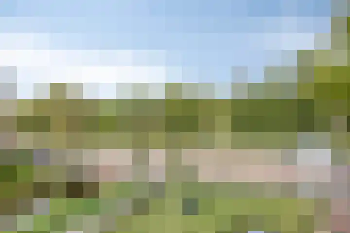 Marksingel 56 Breda thumbnail 16