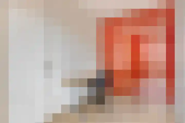 Marksingel 56 Breda thumbnail 24