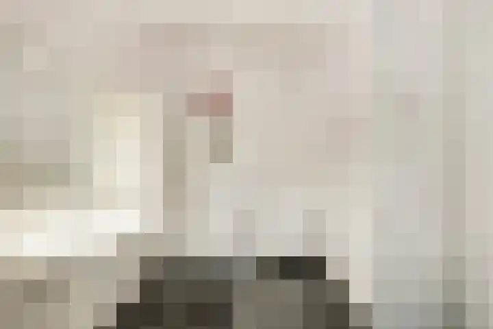 Marksingel 56 Breda thumbnail 25
