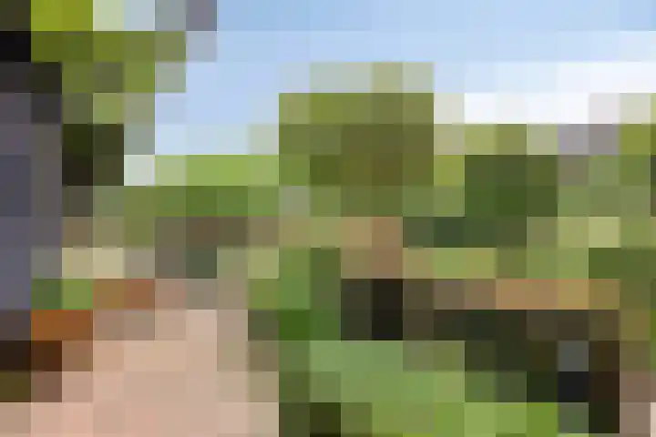 Marksingel 56 Breda thumbnail 29