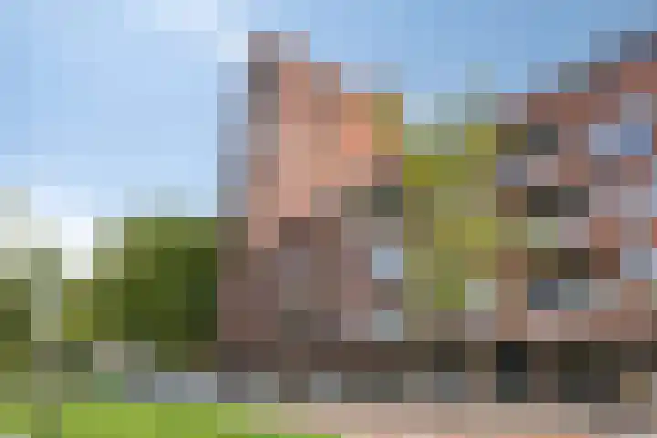 Marksingel 56 Breda thumbnail 30