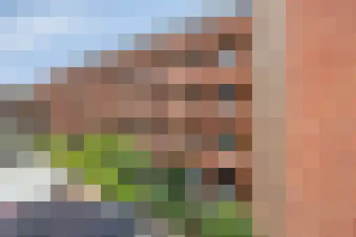 Marksingel 56 Breda thumbnail 31