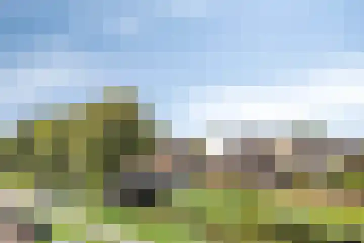 Marksingel 56 Breda thumbnail 32