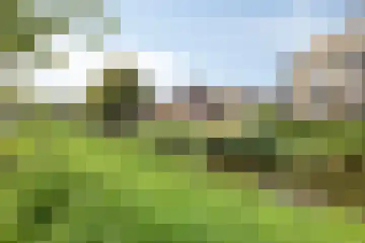Marksingel 56 Breda thumbnail 33