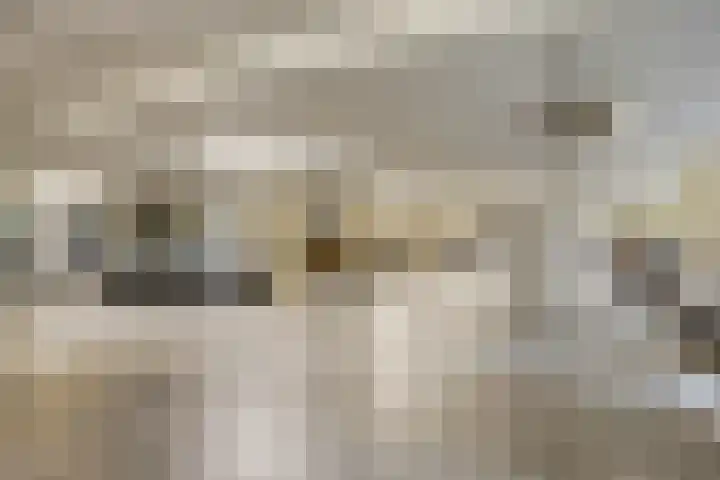 Marksingel 56 Breda thumbnail 4