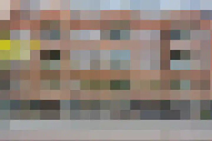 Marksingel 56 Breda thumbnail 5