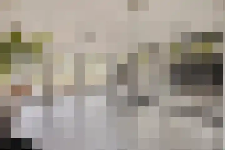 Marksingel 56 Breda thumbnail 7