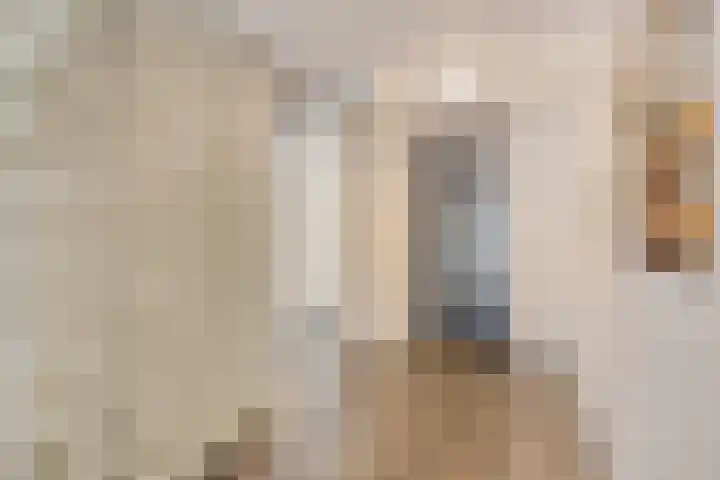 Marksingel 56 Breda thumbnail 8