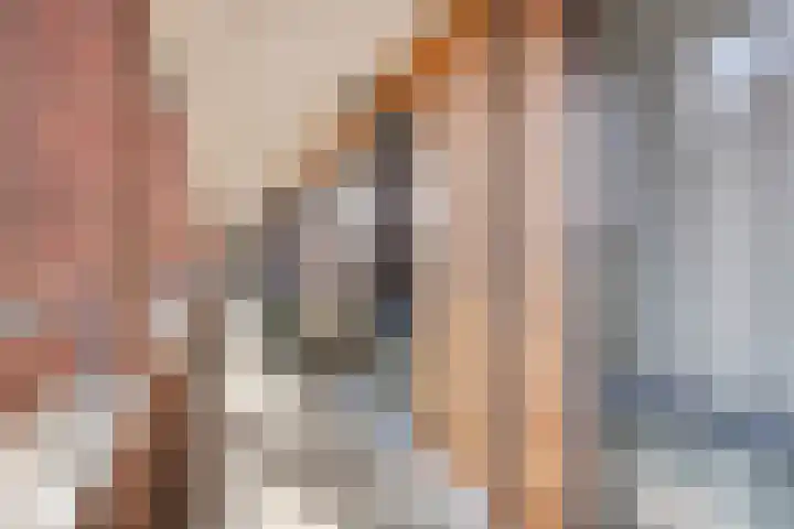 Marksingel 56 Breda thumbnail 9
