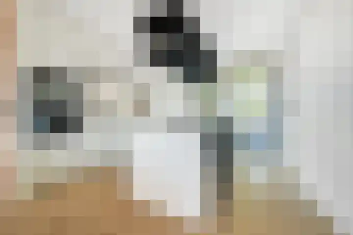 Marksingel 96 Breda thumbnail 10