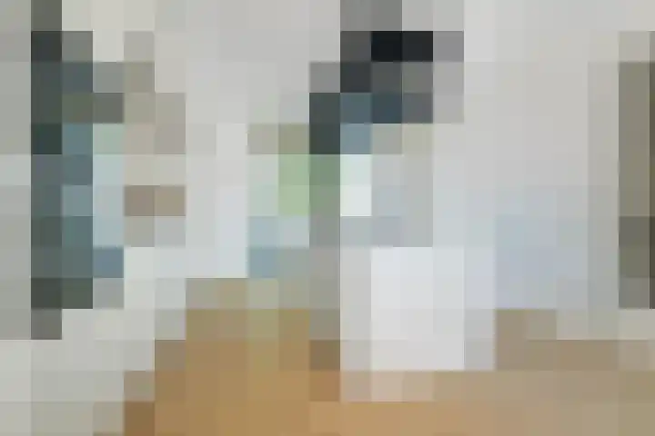 Marksingel 96 Breda thumbnail 11