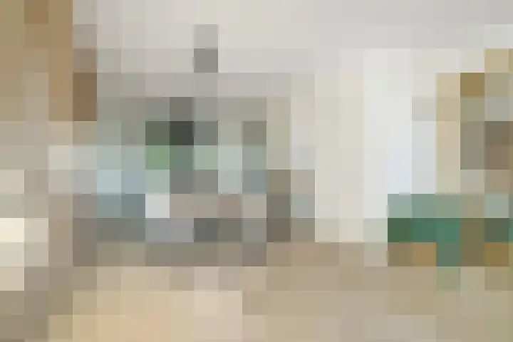 Marksingel 96 Breda thumbnail 12